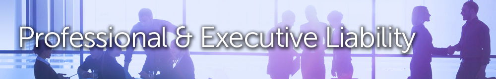 page banner_P-Professional & Executive PL.jpg